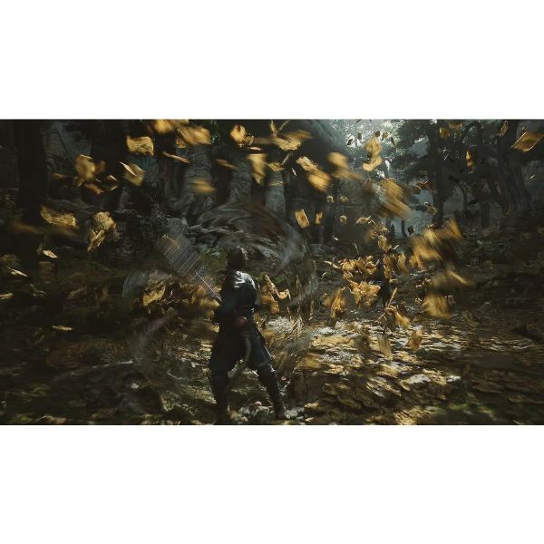 Sony Playstation 5 Black Myth Wukong