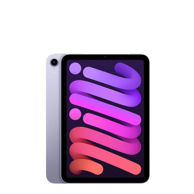 iPad Mini 6.