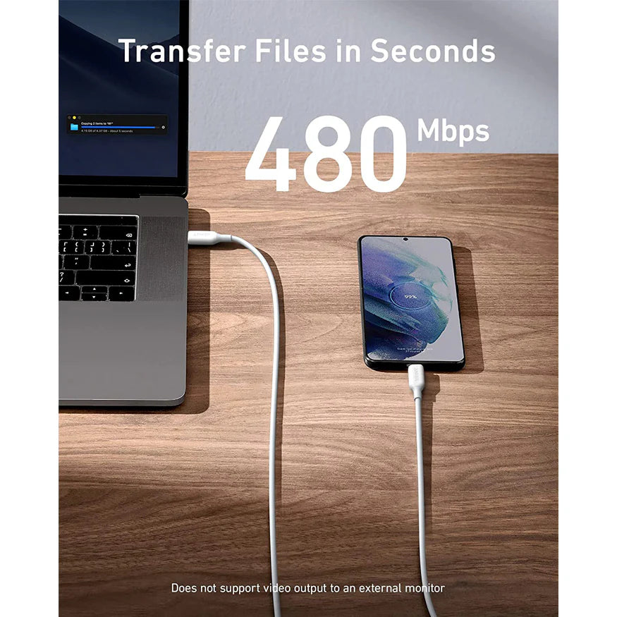 ANKER Powerline III USB-C to USB-C 100W 2.0 fast Charging Cable - A8856