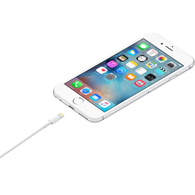 Lightning to USB Cable (1 m).