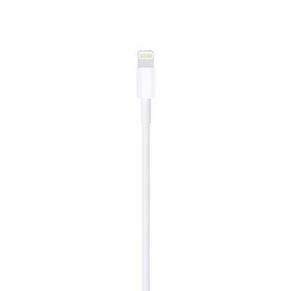 Lightning to USB Cable (1 m)
