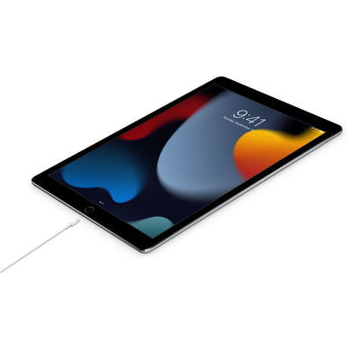 USB-C to Lightning Cable (1 m).