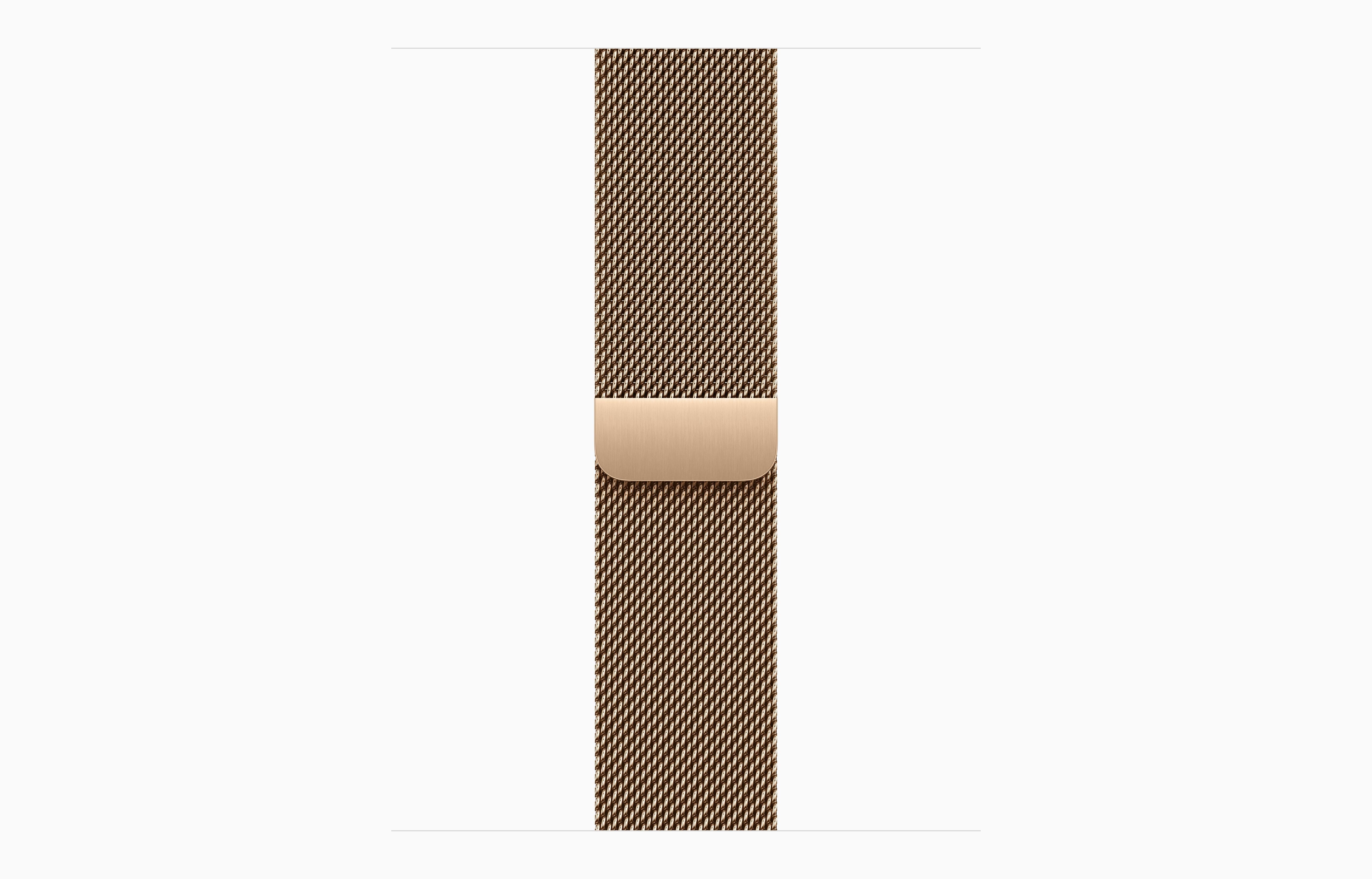 Apple Watch Series 10 46mm Titanium Case Milanese Loop.